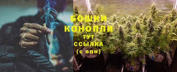 дмт Нея