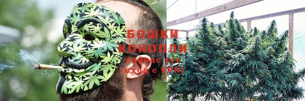 дмт Нея