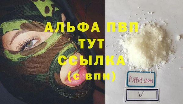 дмт Нея