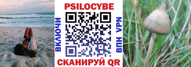 Псилоцибиновые грибы Psilocybe  Фрязино 